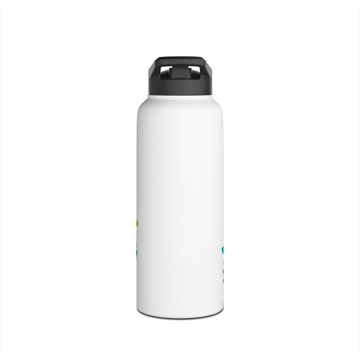 Dinosaur Adventure Stainless Steel Water Bottle