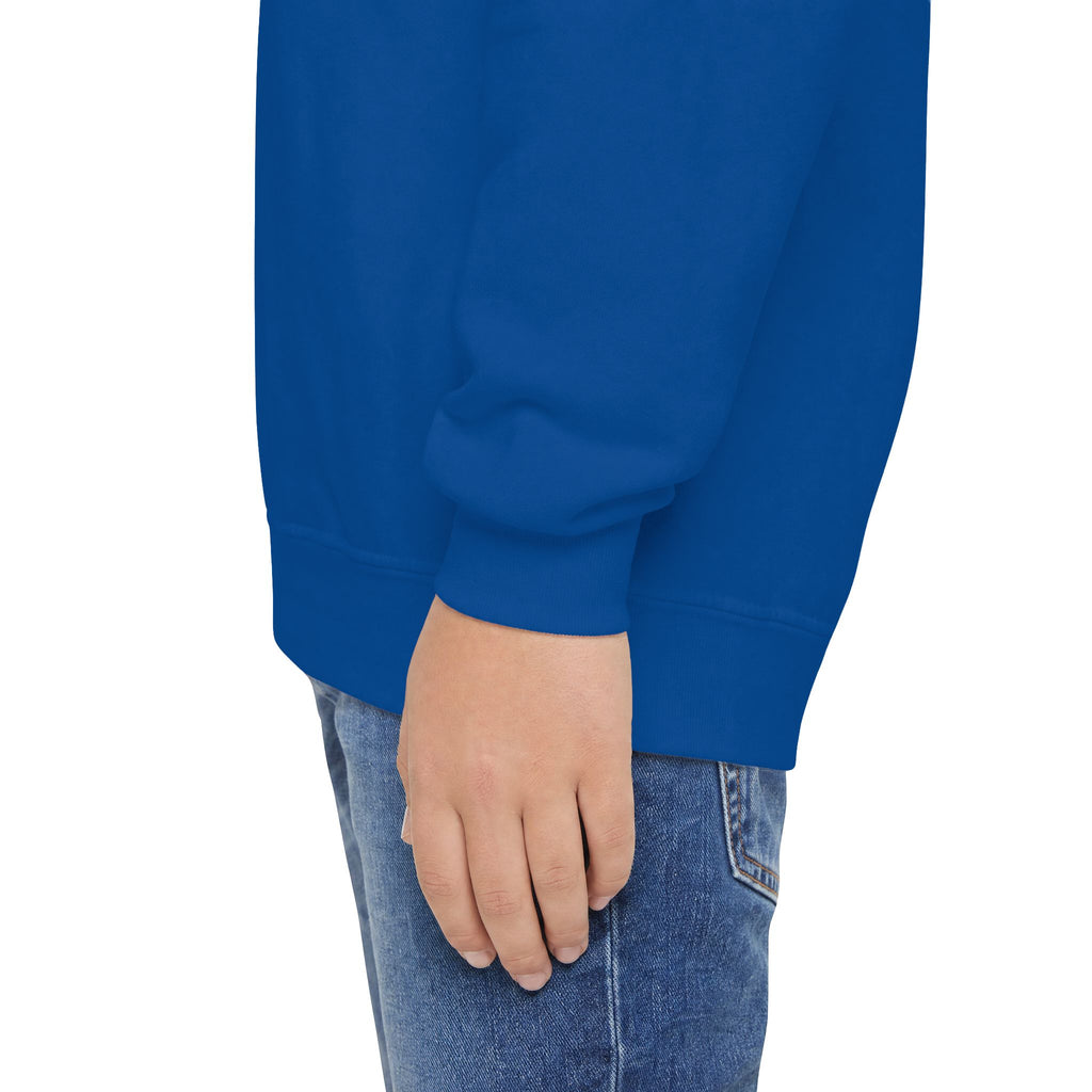 Youth Crewneck Sweatshirt — "School Story, Bro!" Earth Character with Soda | Slate & Social Back