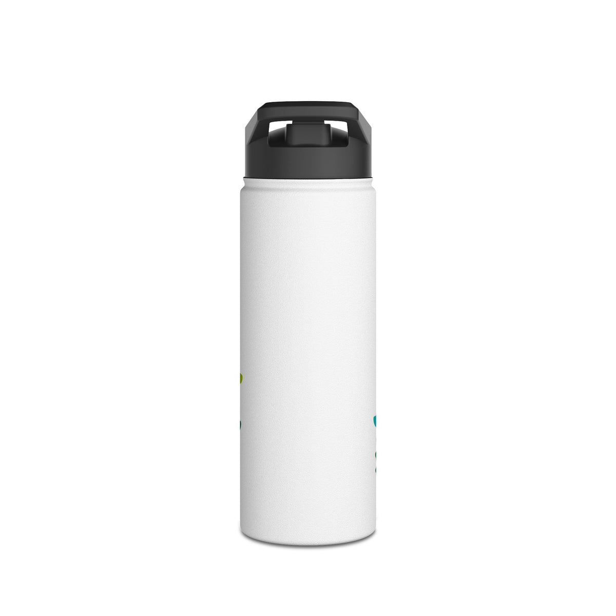 Dinosaur Adventure Stainless Steel Water Bottle